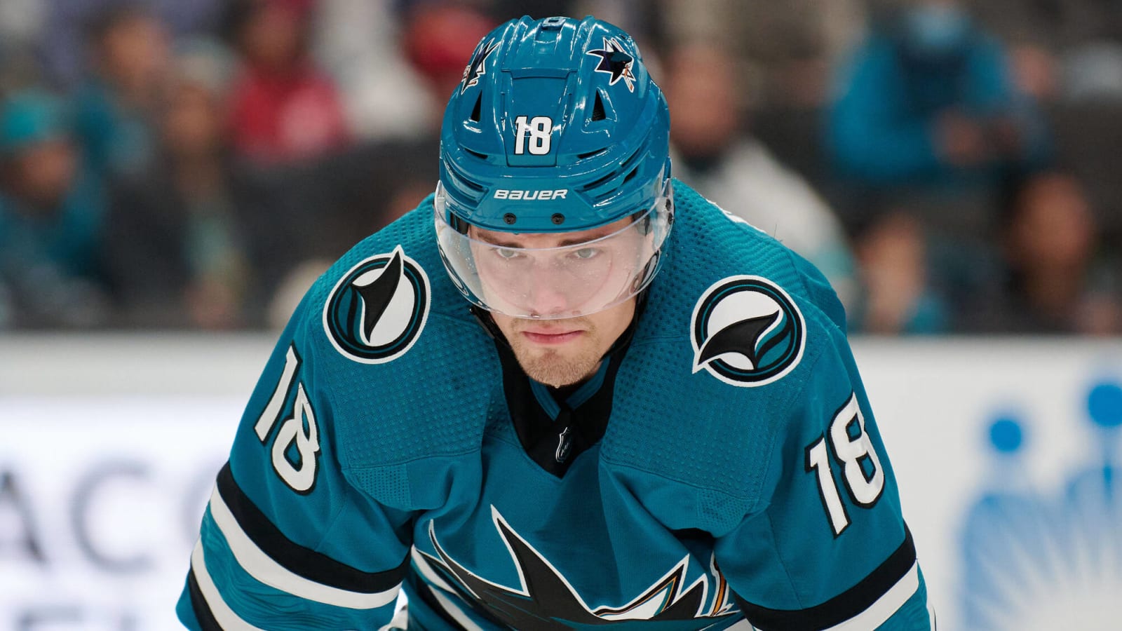 Free agent focus for the San Jose Sharks