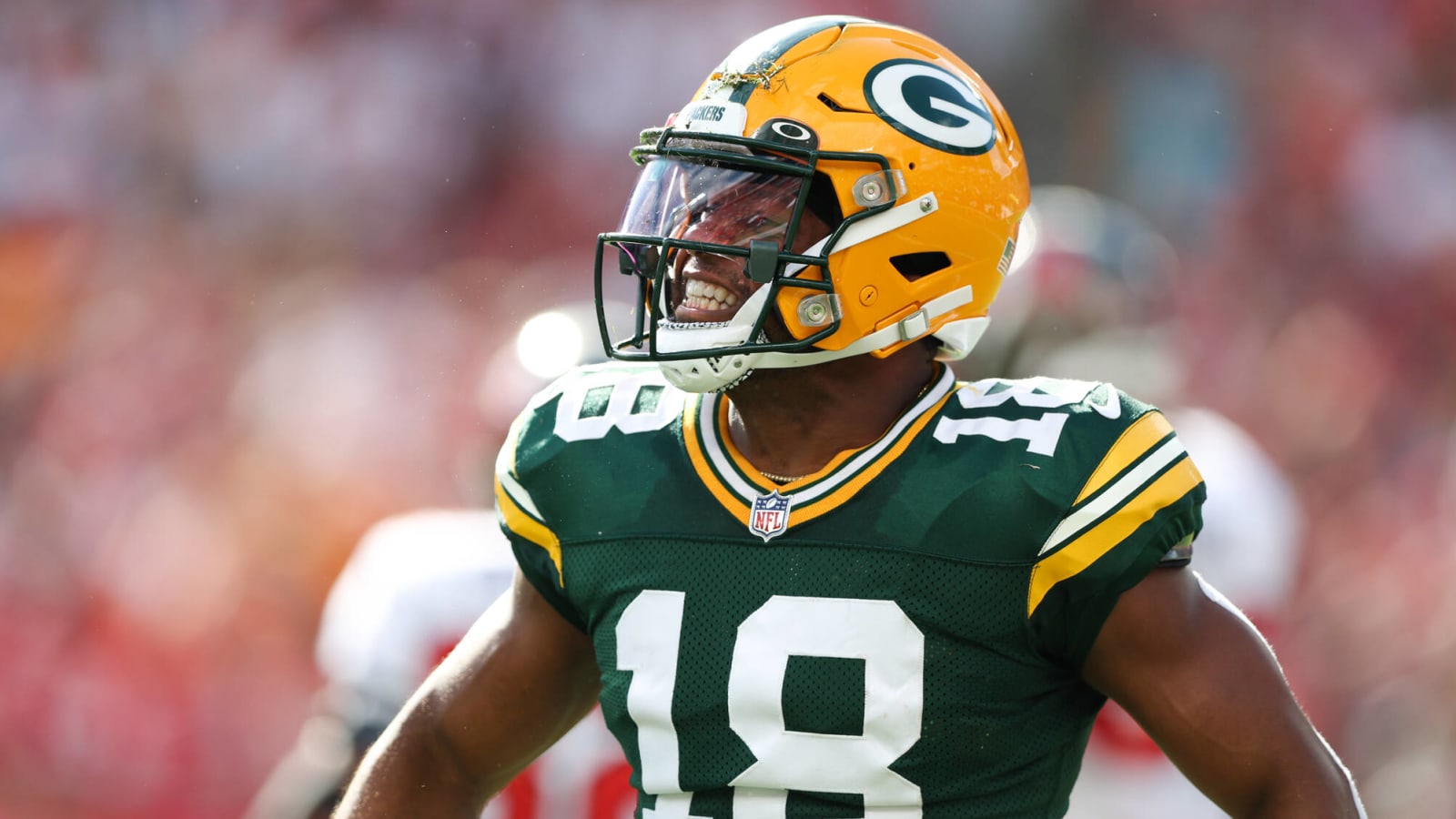 Packers WR Randall Cobb facing extended absence