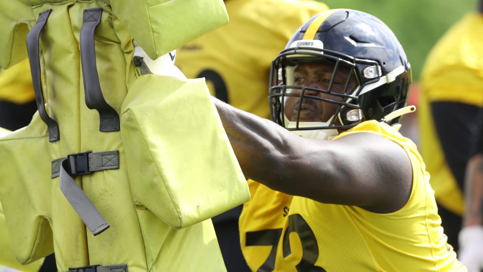 Ex-Steelers Defensive Tackle Signs with Bengals