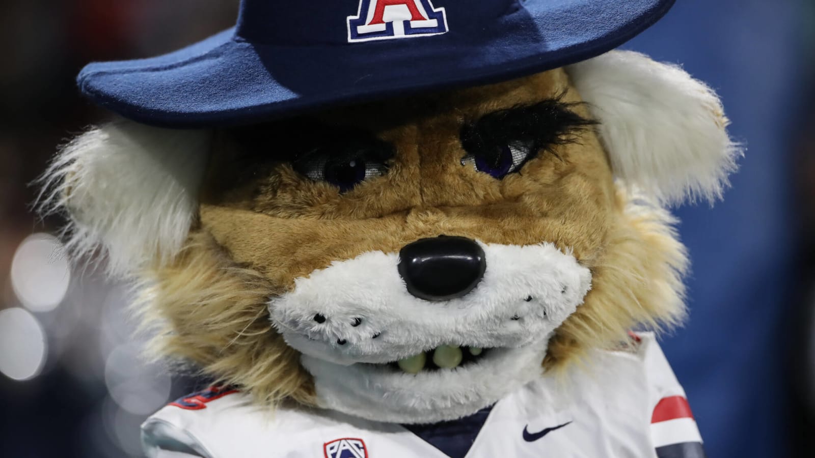 Arizona, ASU mascots get into fist fight during rivalry game