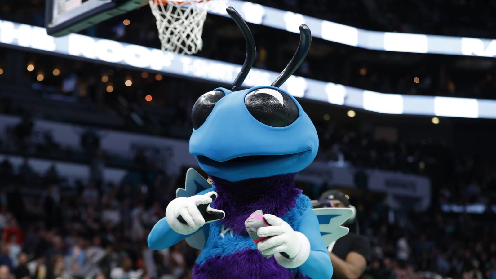 Charlotte Sports' Mascots