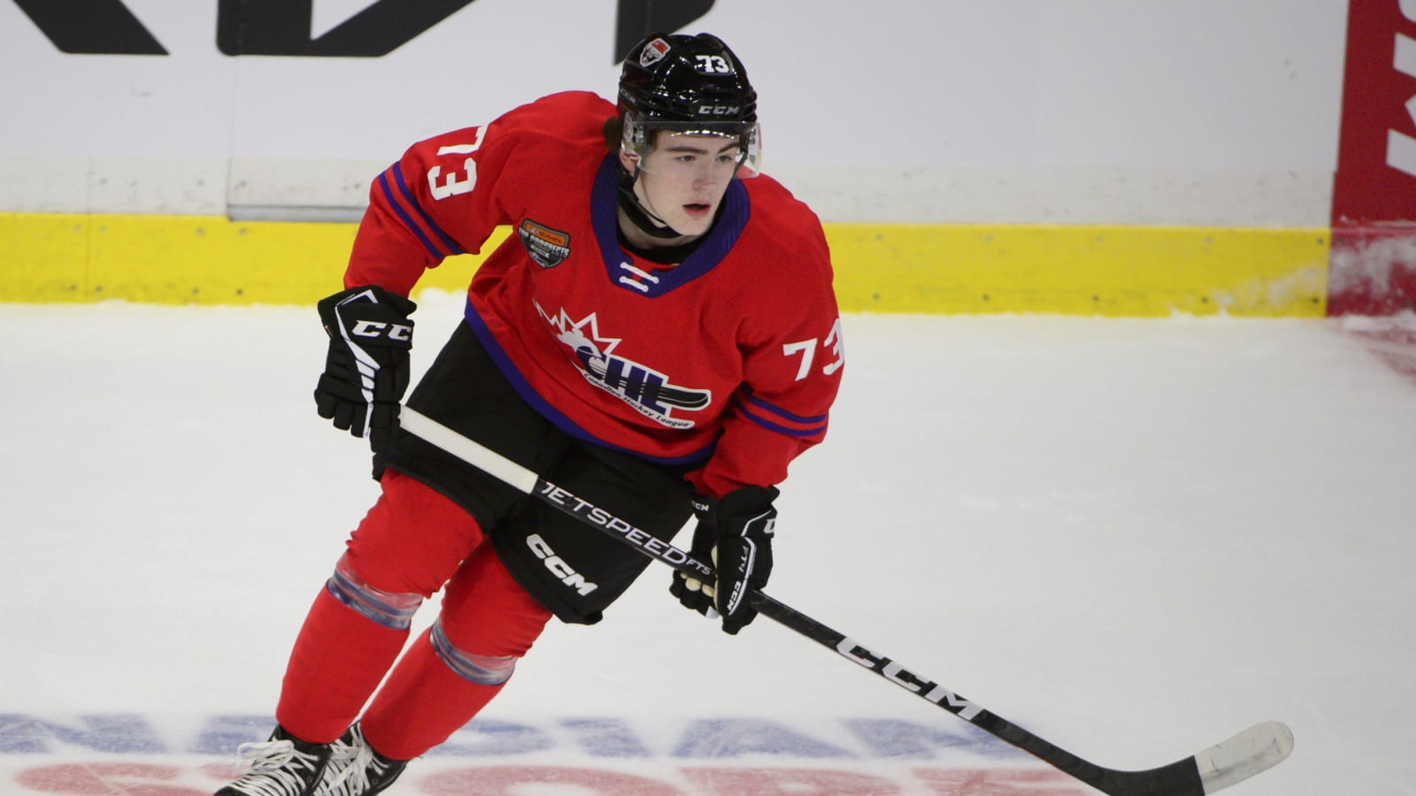 Gushchin, Cardwell Impress in 3-2 Sharks’ Win