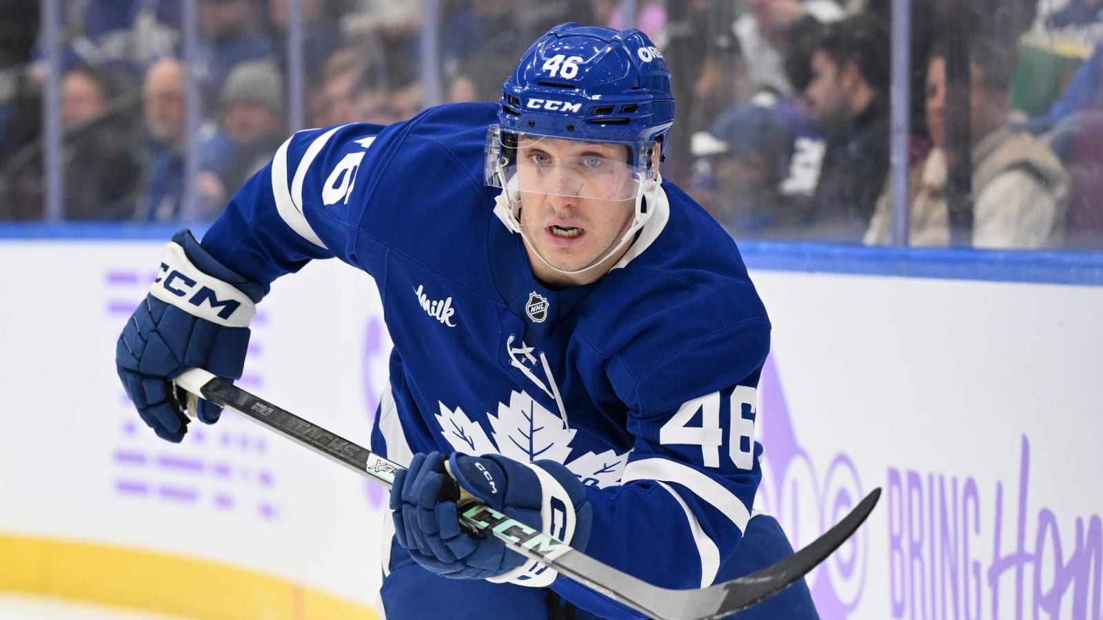 Maple Leafs recall Alex Steeves