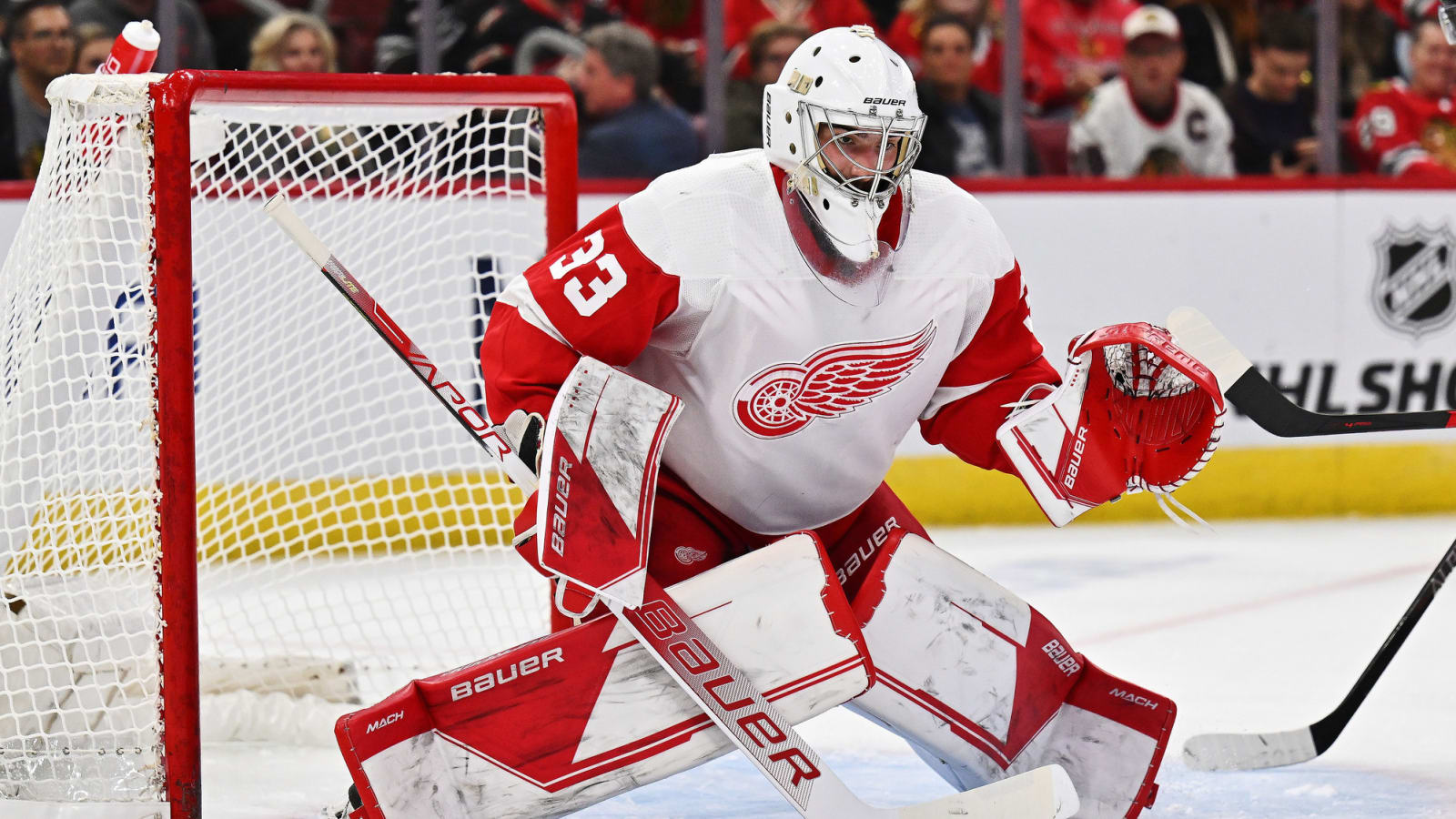 Red Wings’ Goaltending Pipeline: Setting Fair Expectations