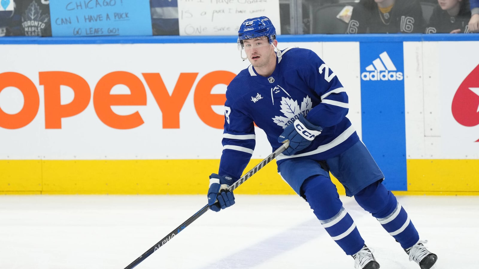 Maple Leafs News & Rumors: Anderson, Murray, Matthews & Toffoli