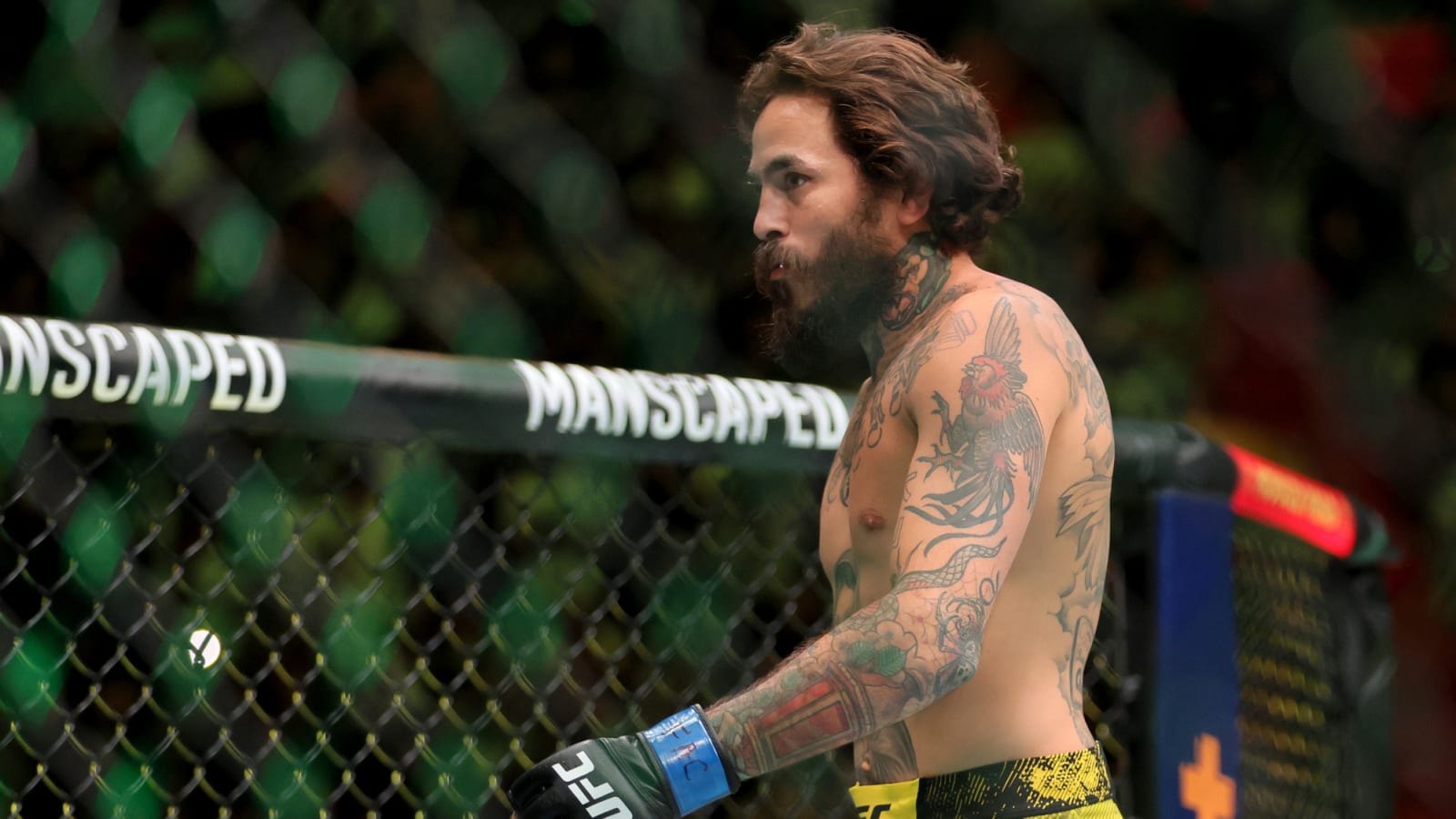 UFC on ABC 7: Marlon Vera vs. Deiveson Figueiredo Fight Preview