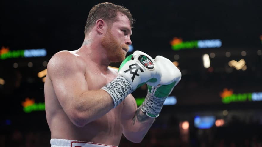 Canelo Punches A Fan – ‘He Got Knocked Into Next Week’