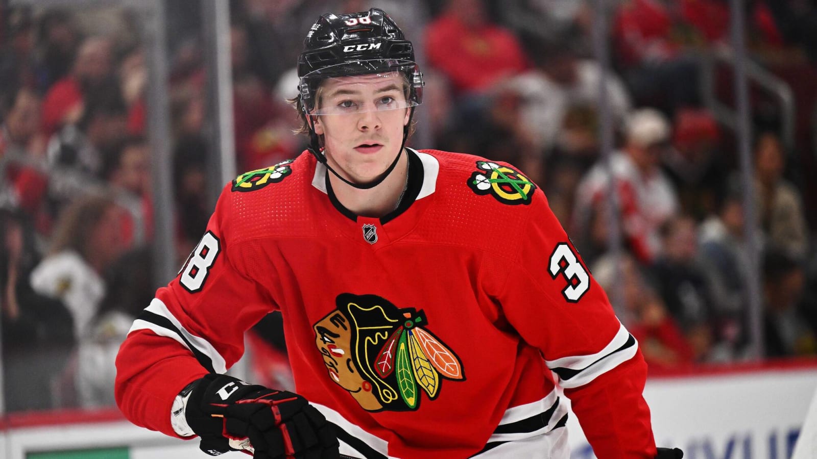 Blackhawks call up defenseman prospect for cup of coffee