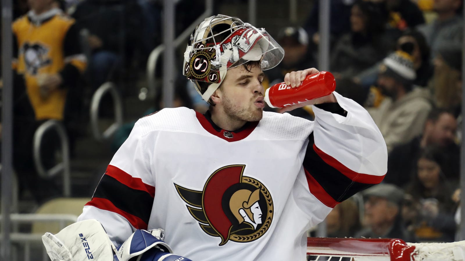 Canucks sign depth goaltender for professional tryout