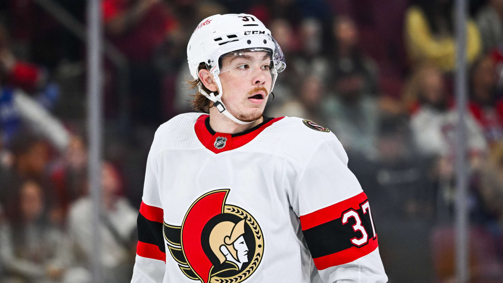 Ottawa Senators Recall Defenseman From Belleville