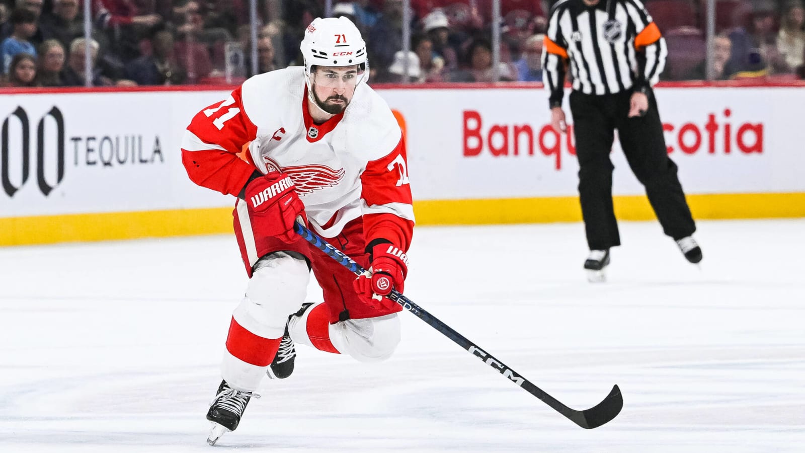 Red Wings’ Review:  Dylan Larkin’s Future