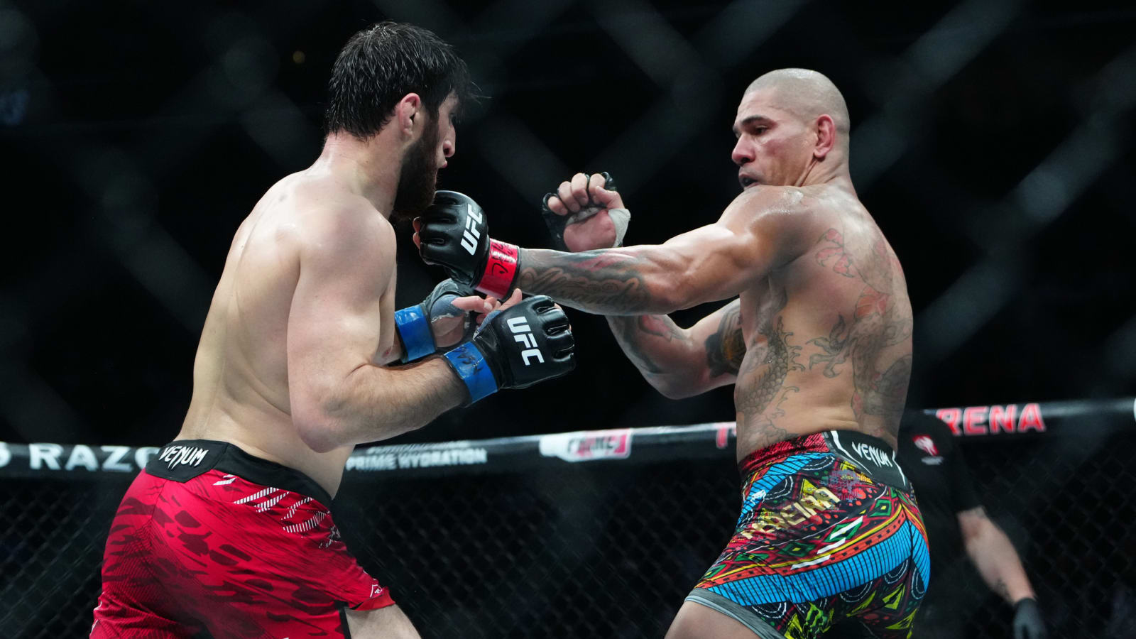 Alex Pereira confirms he fought Magomed Ankalaev while injured