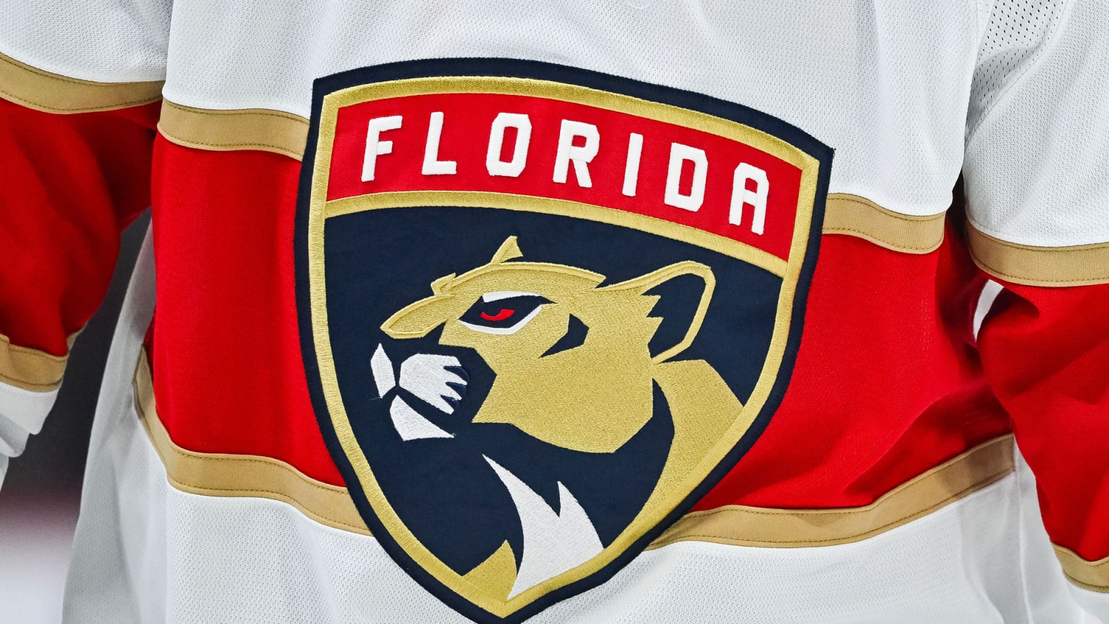 NHL team employee fired over logo leak