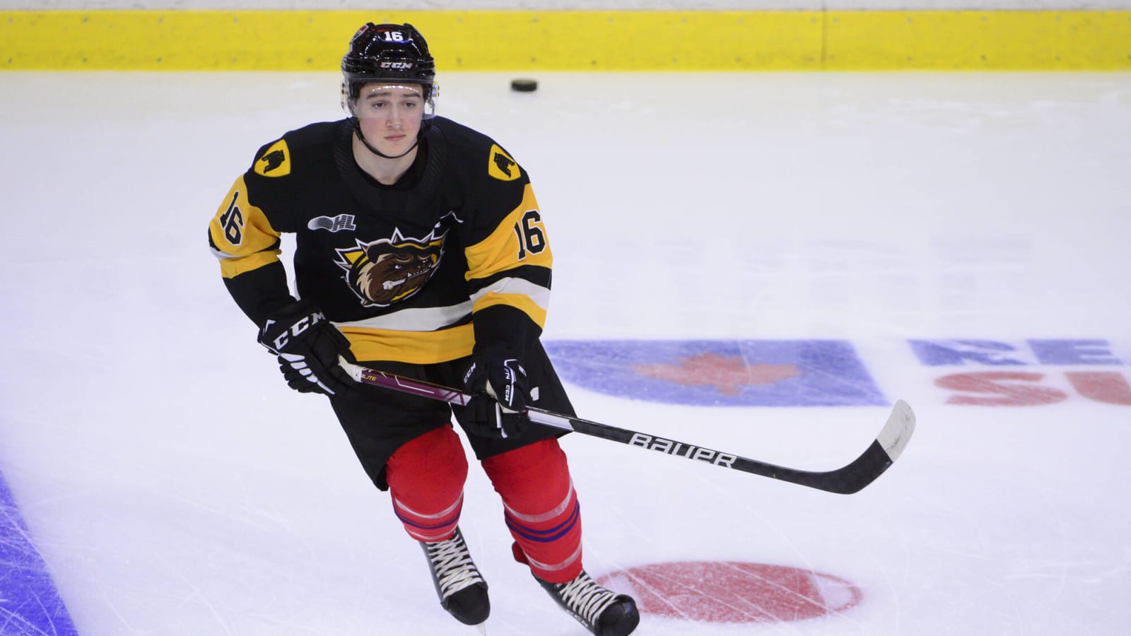 Emulating His Hockey Idol,  Nick Lardis Might Be a Steal for the Blackhawks