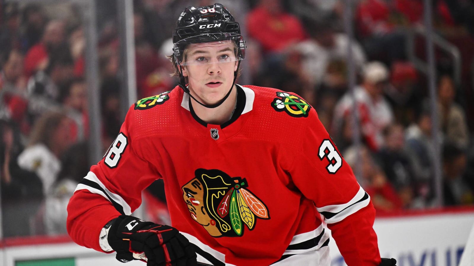 Blackhawks of Tomorrow: Ethan Del Mastro is Turning Heads