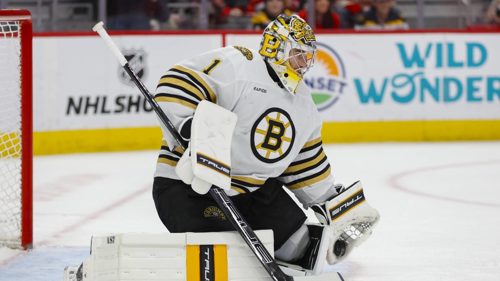 Bruins History of All-Star Goalies