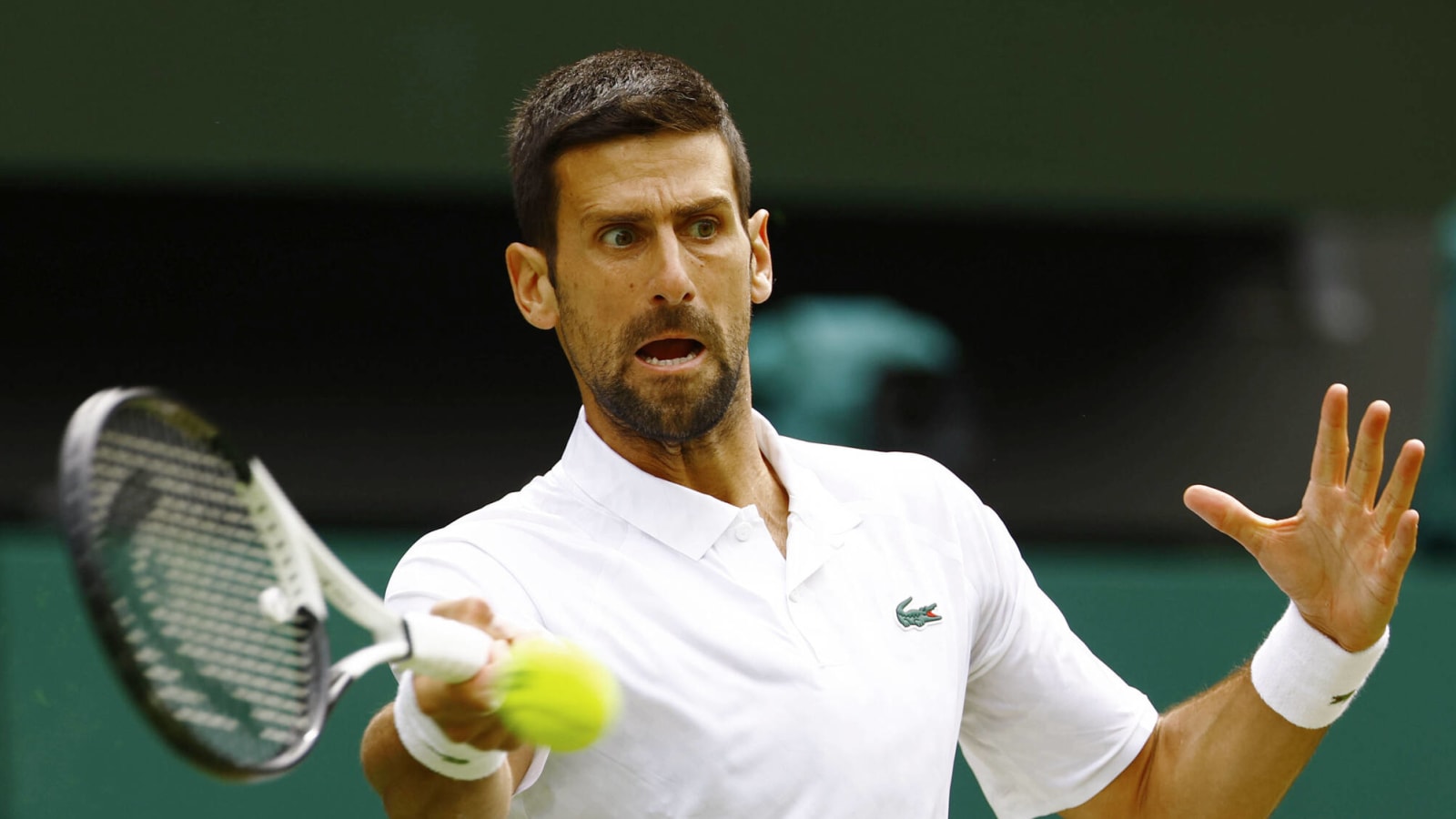 Novak djokovic shop outfit