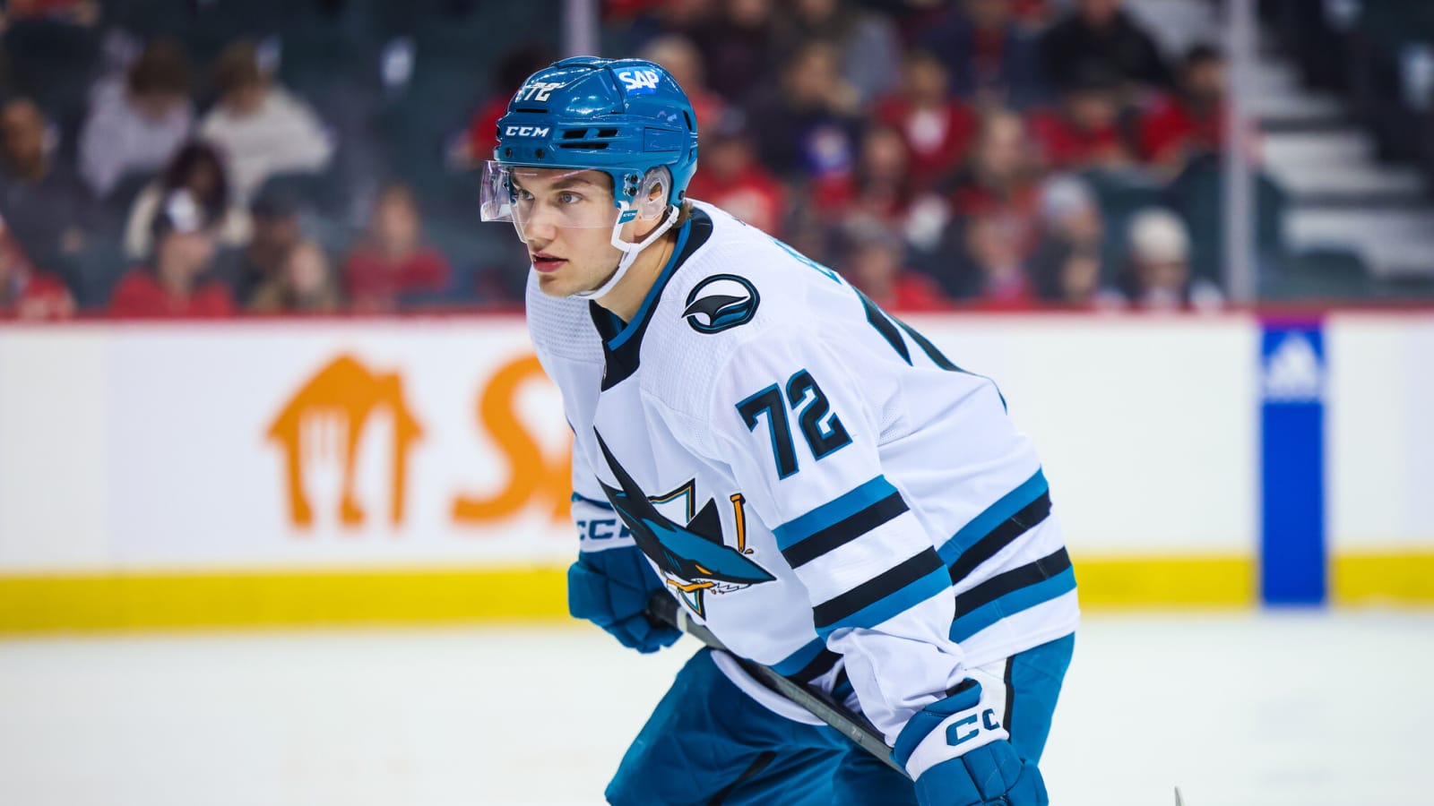 Puck Drop Preview: 2024-25 San Jose Sharks