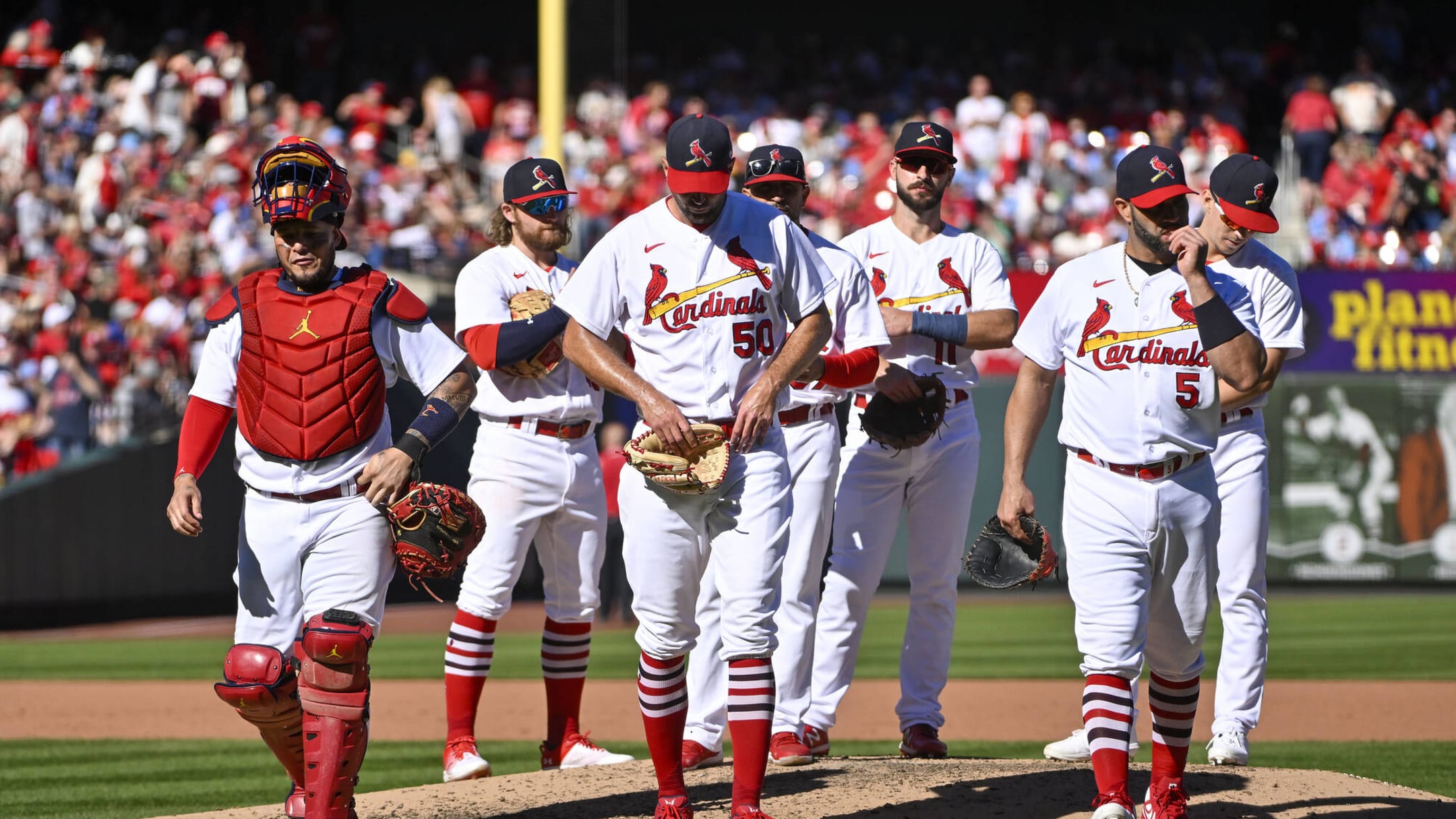 Cardinals' Adam Wainwright's hilarious reaction to Albert Pujols's