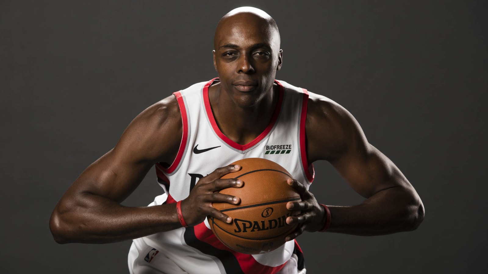 In a league trending young, Anthony Tolliver highlights why NBA veterans still matter