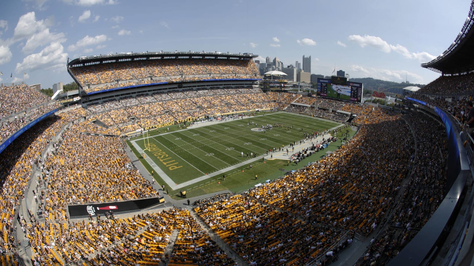 Group of pigeons take residence on field during Steelers-Saints game