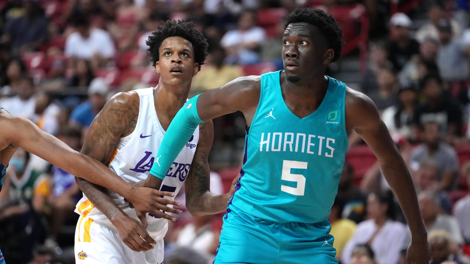 Hornets' Mark Williams taking advantage of G-League minutes