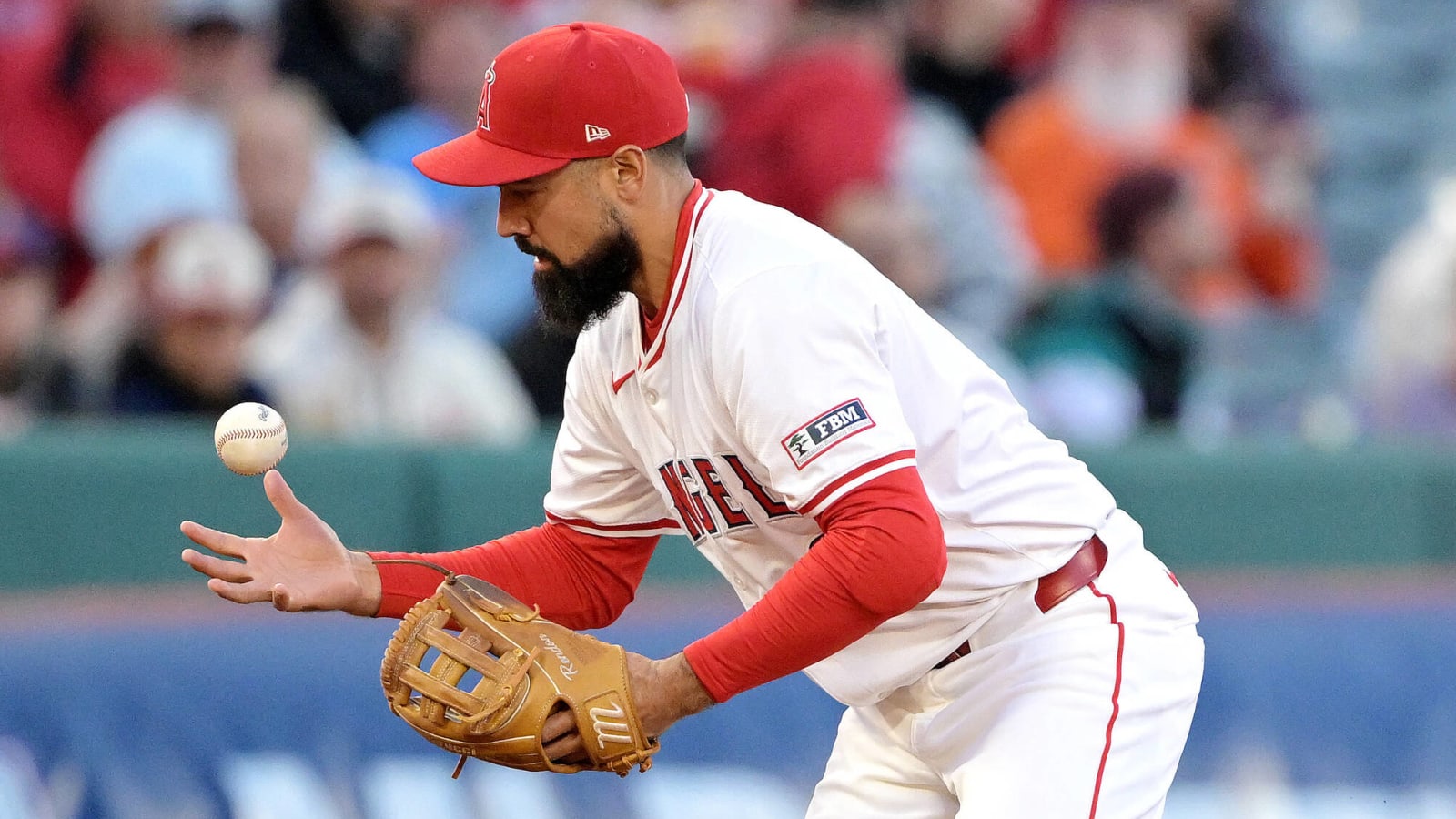 Angels to again miss veteran infielder for extended stretch