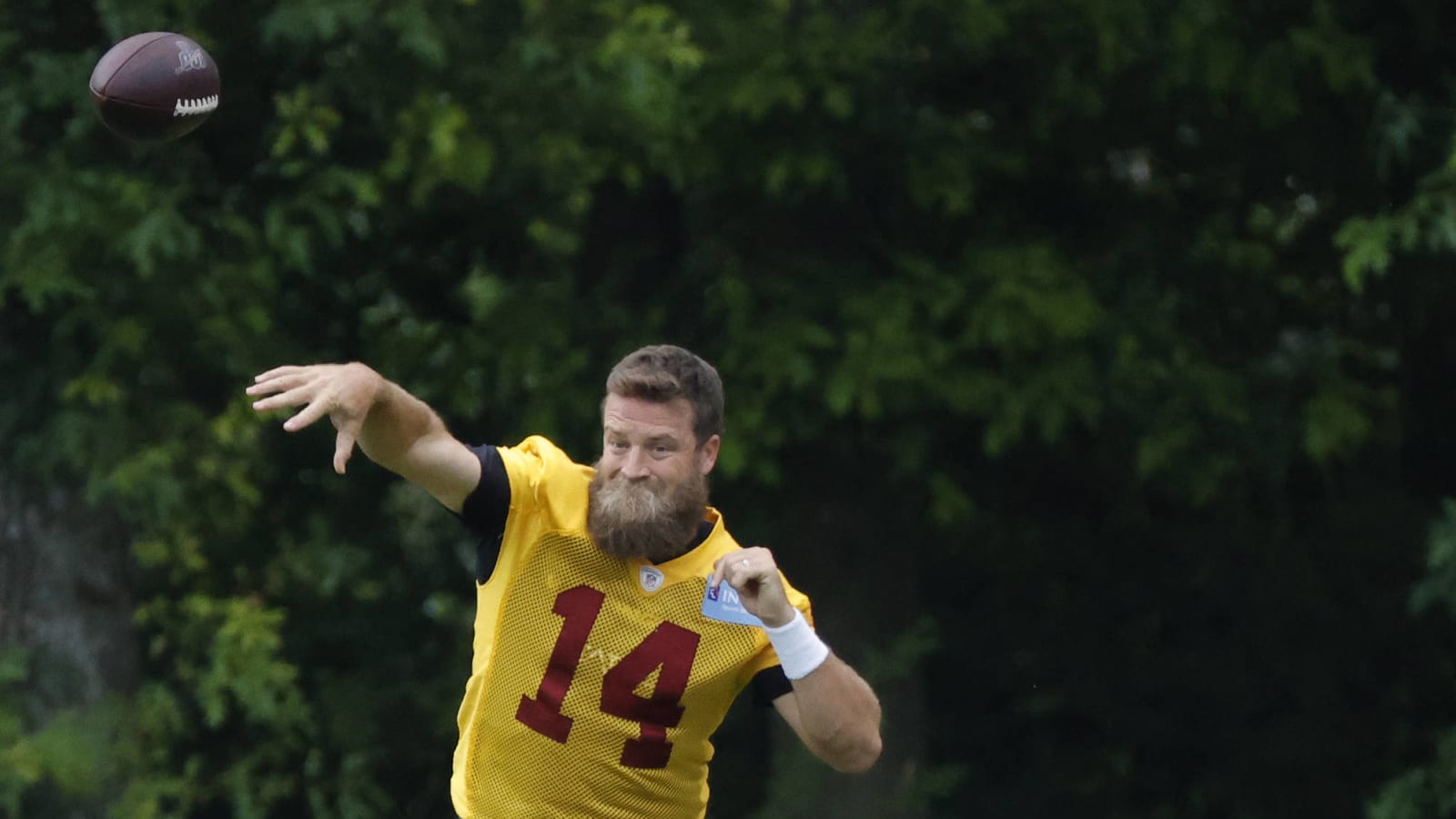 Watch: Ryan Fitzpatrick unbothered by cicada landing on his beard