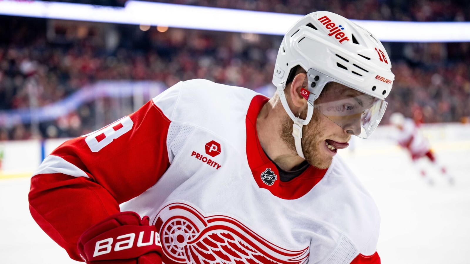 Copp to IR; Red Wings Recall Dries