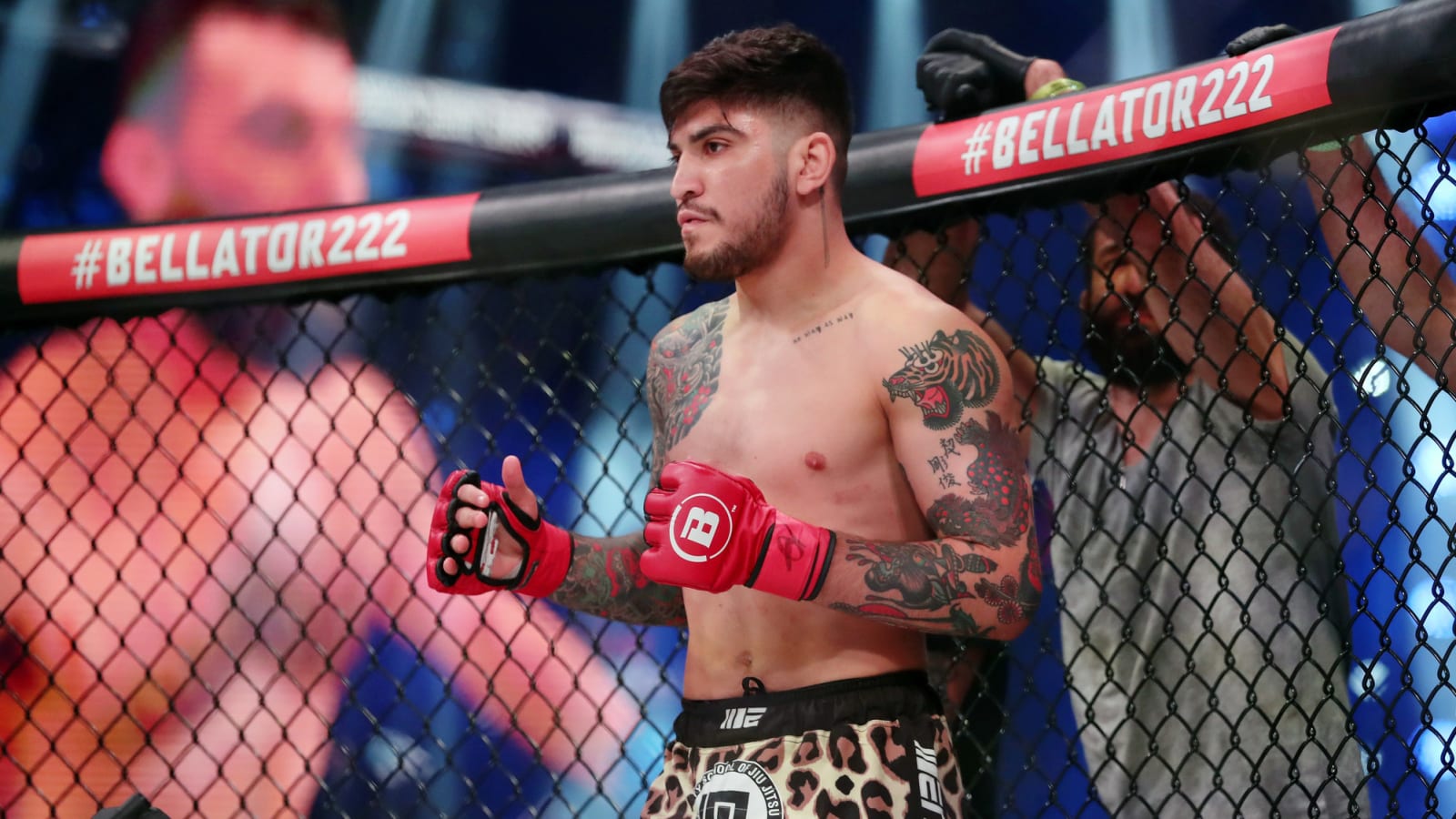 KSI Would Get Killed If We Fought In The Octagon, He Admitted It, Says Dillon Danis