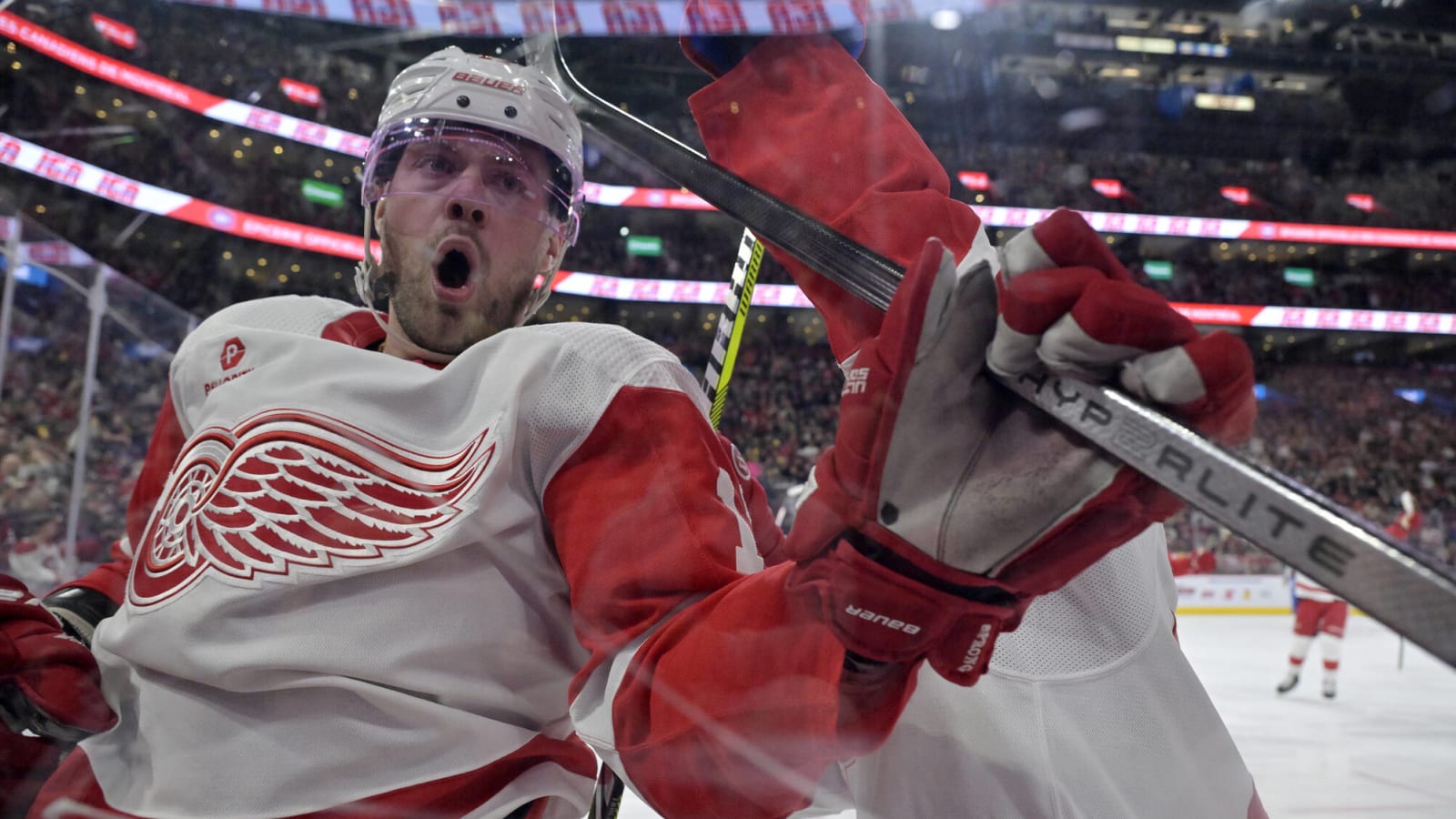 Detroit Red Wings’ 2023-24 Final Grades: Forwards