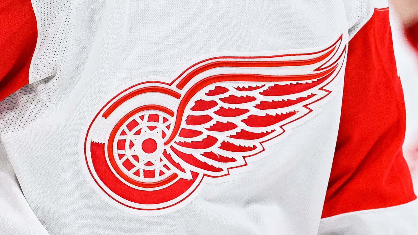 Red Wings 2024 Draft Targets: 5 Defensemen