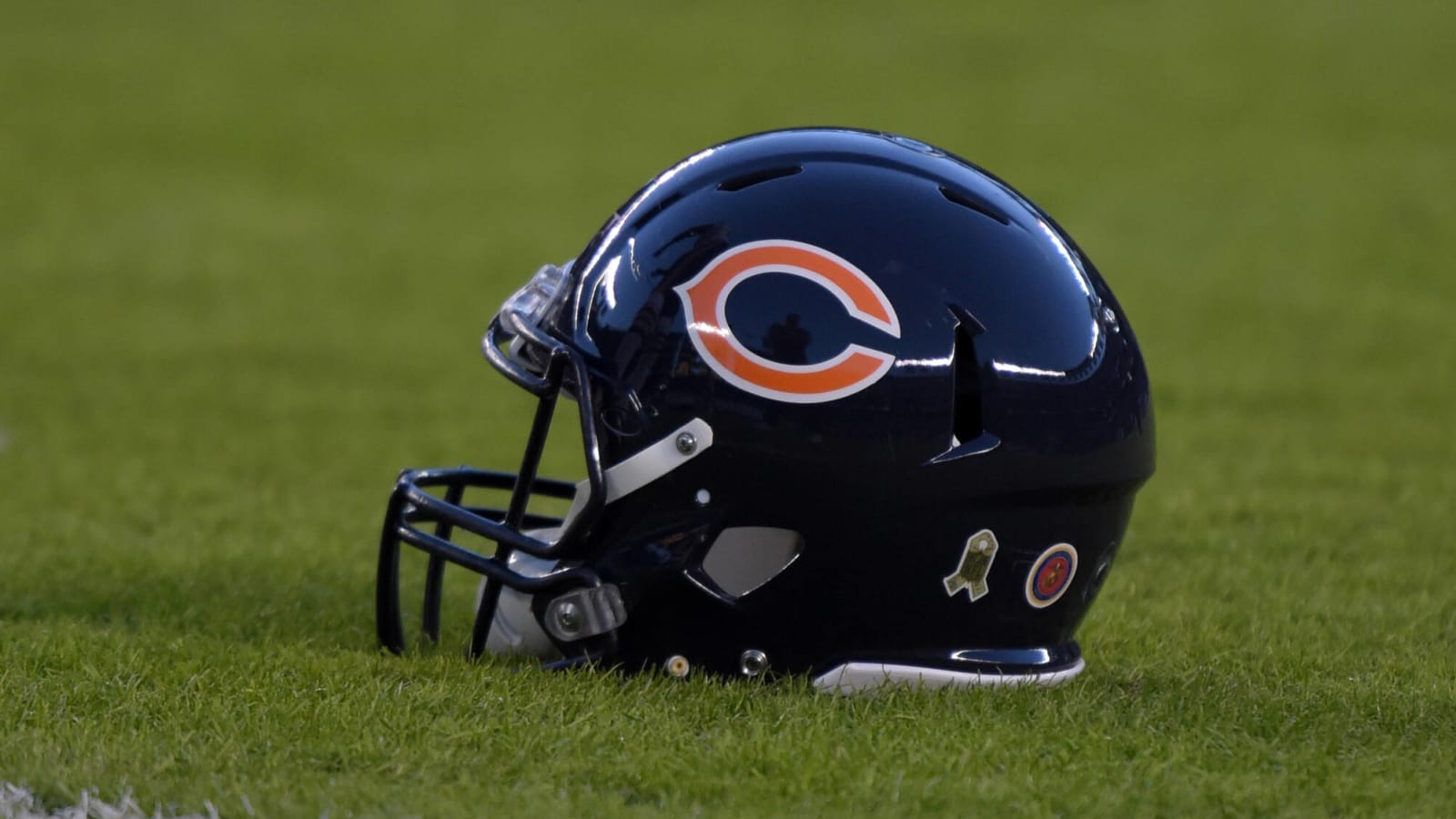 Bears Lakefront Pivot: Michael Reese Hospital Site Pitched as Option