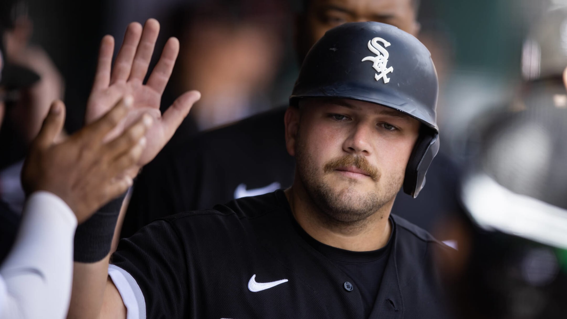 Chicago White Sox add 6+ new beers to menu for 2023 season - On Tap Sports  Net