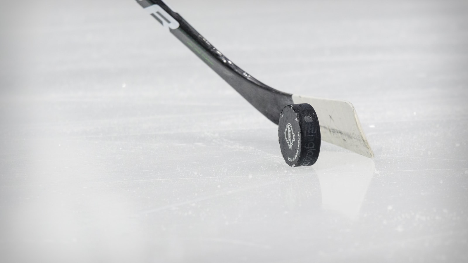2024 NHL Draft: The top 15 goalies