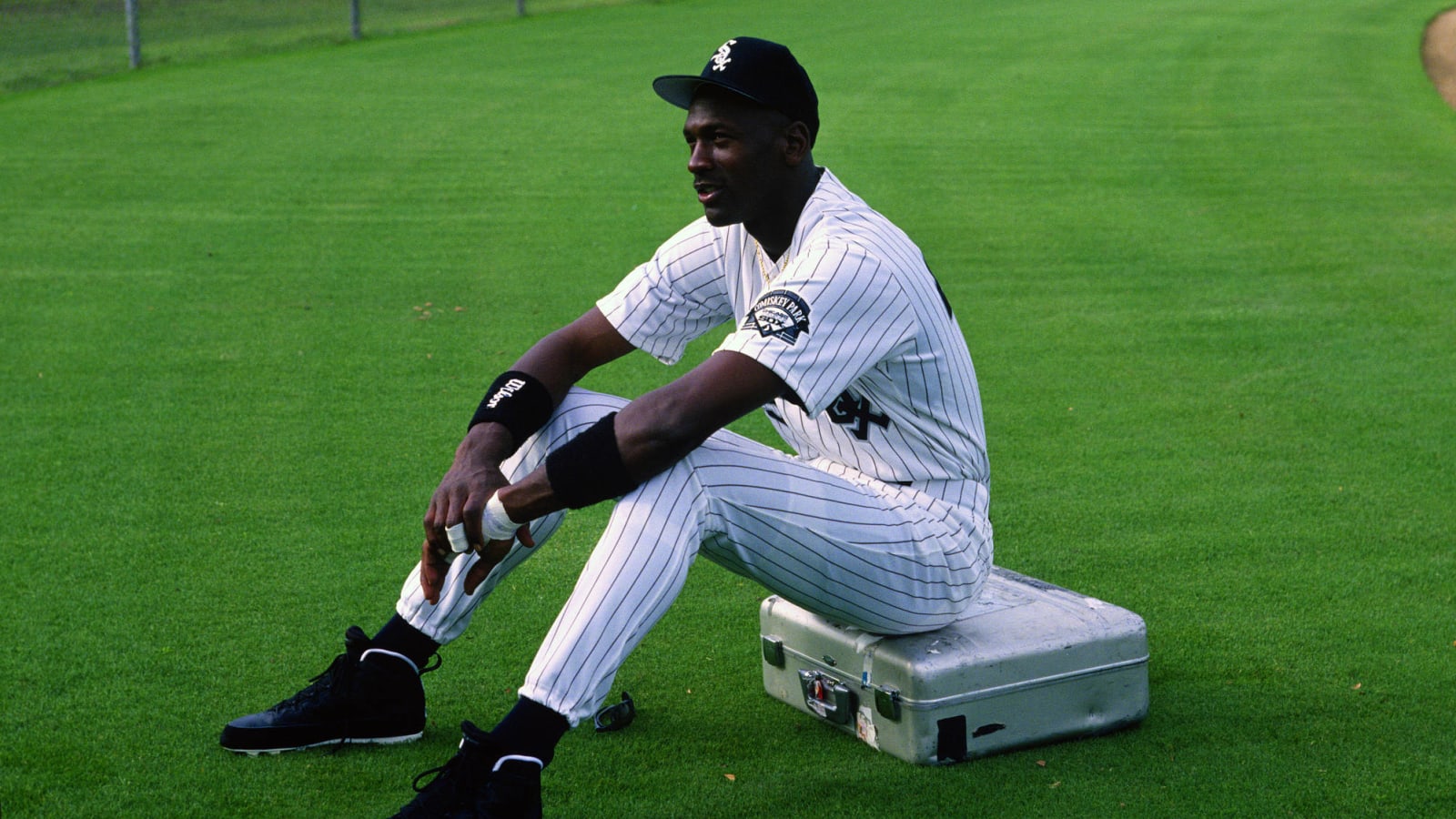 Bulls owner Jerry Reinsdorf thinks Michael Jordan would have made it to the MLB