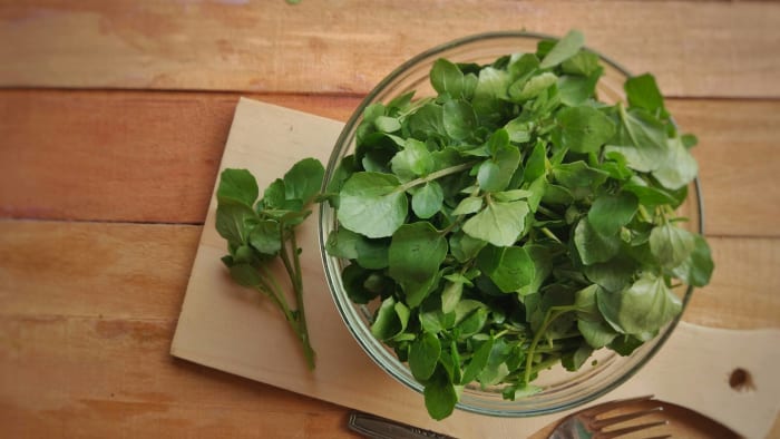 Watercress