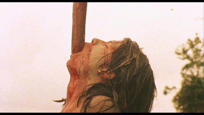 "Cannibal Holocaust" (1980)