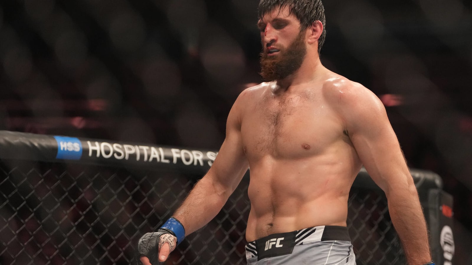 After huge knockout at UFC Vegas 84, what’s next for Magomed Ankalaev?