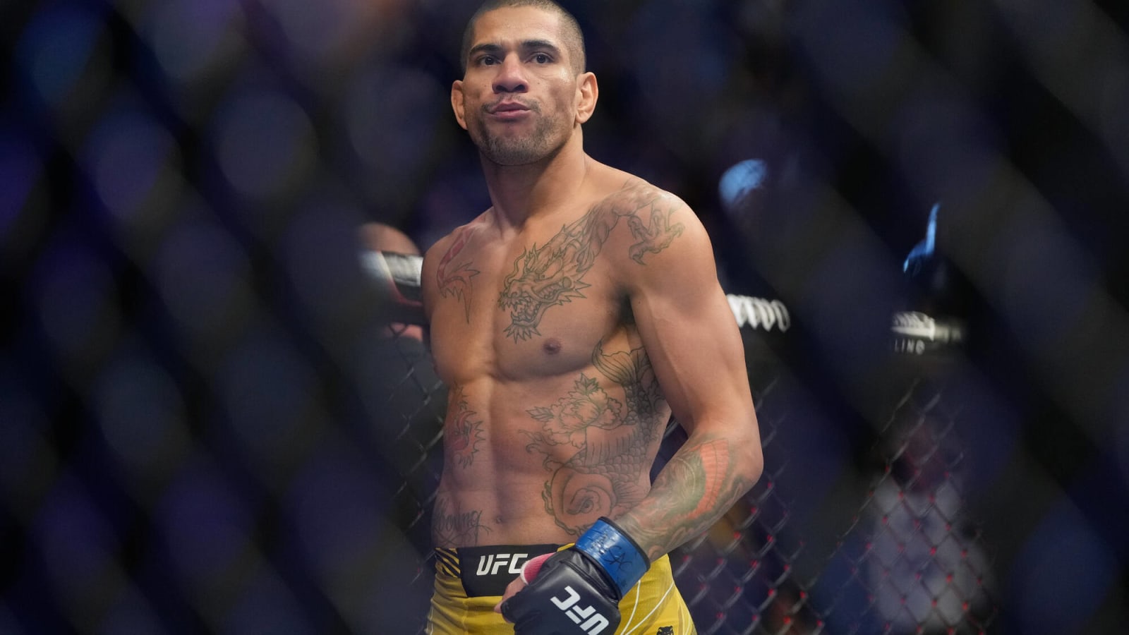 Ufc current belt clearance holders