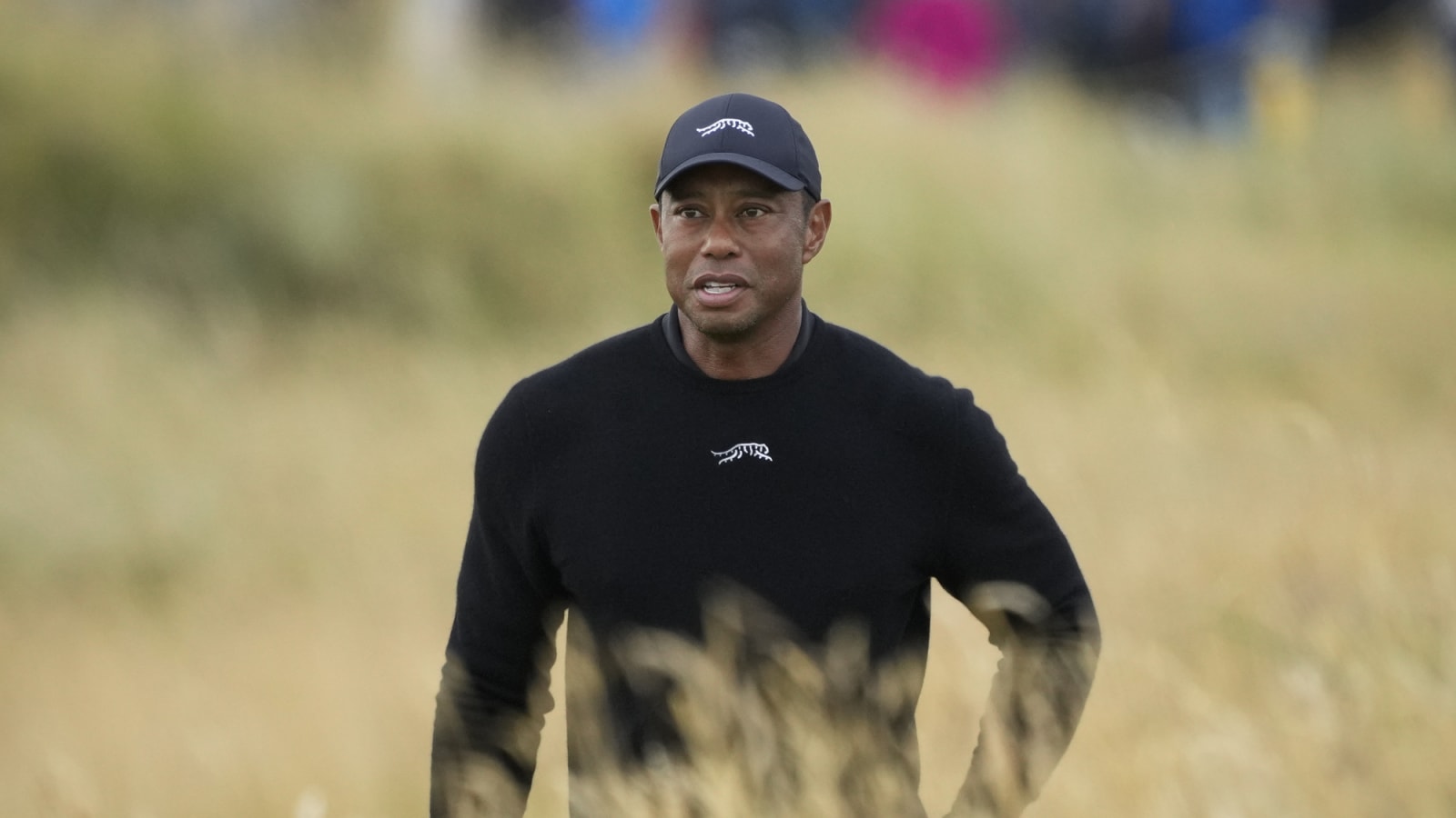 2024 Tiger Woods British Open odds