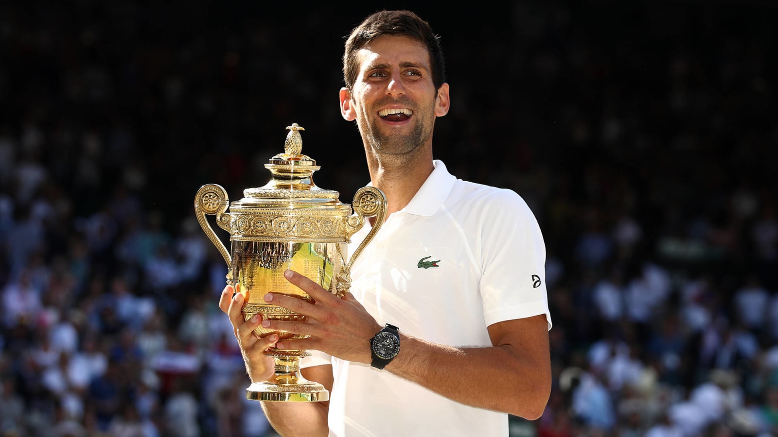 Djokovic &#39;Definitely the Favourite&#39; to Seal Wimbledon Title Robson Believes