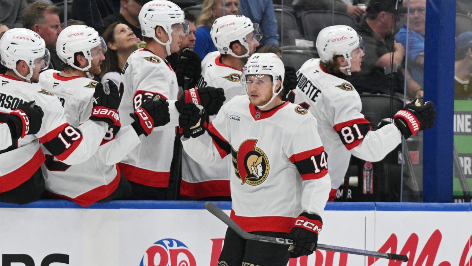 Ottawa Senators Roster Takes Shape