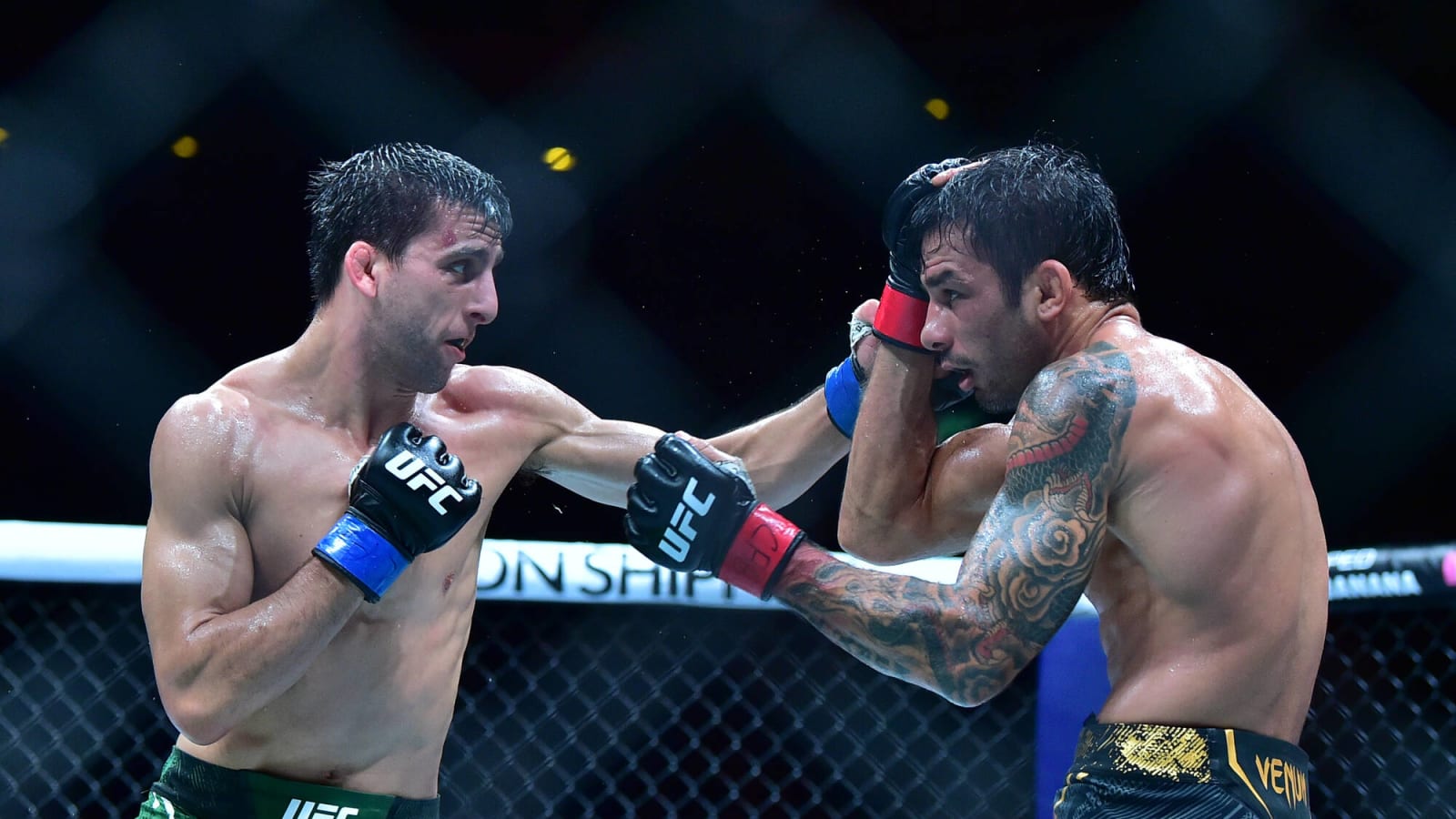 Top 5 Knockouts of 2024