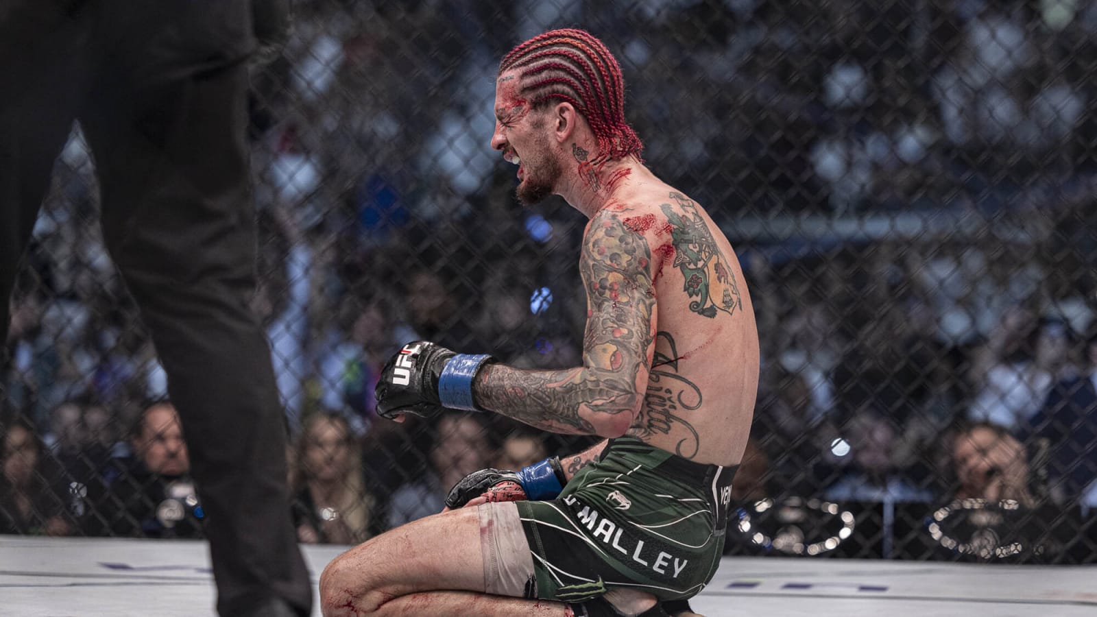 Ex-champion believes Sean O’Malley ‘never wanted to fight’ Merab Dvalishvili after humiliating title loss