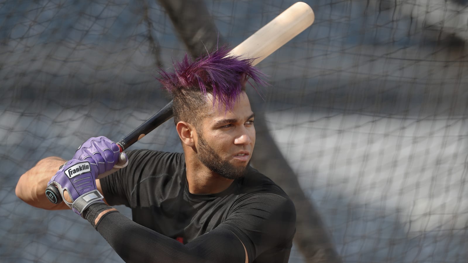 Torey Lovullo provides positive update on Lourdes Gurriel Jr.