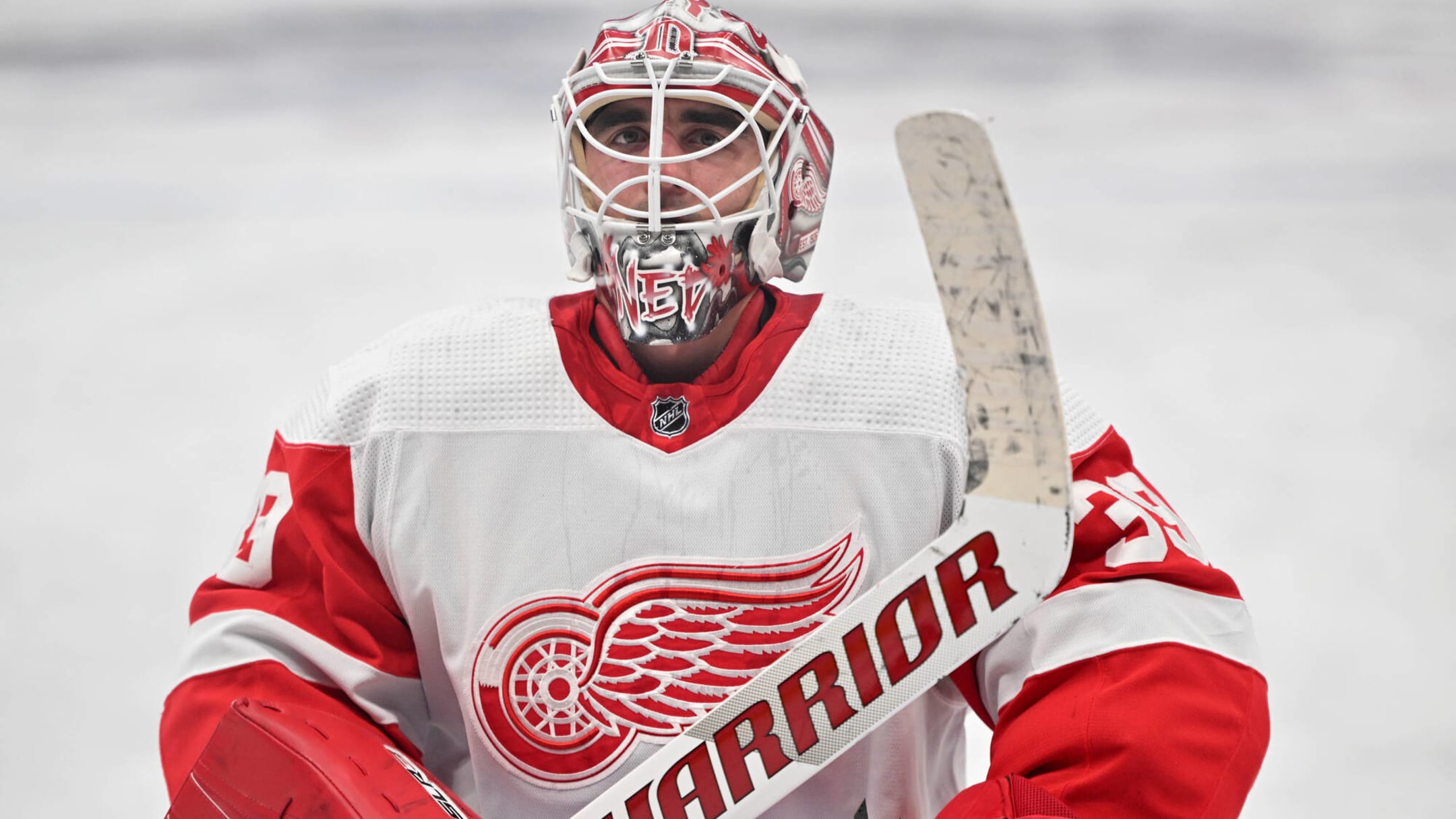Red Wings' Alex Nedeljkovic clears waivers, assigned to Grand Rapids 