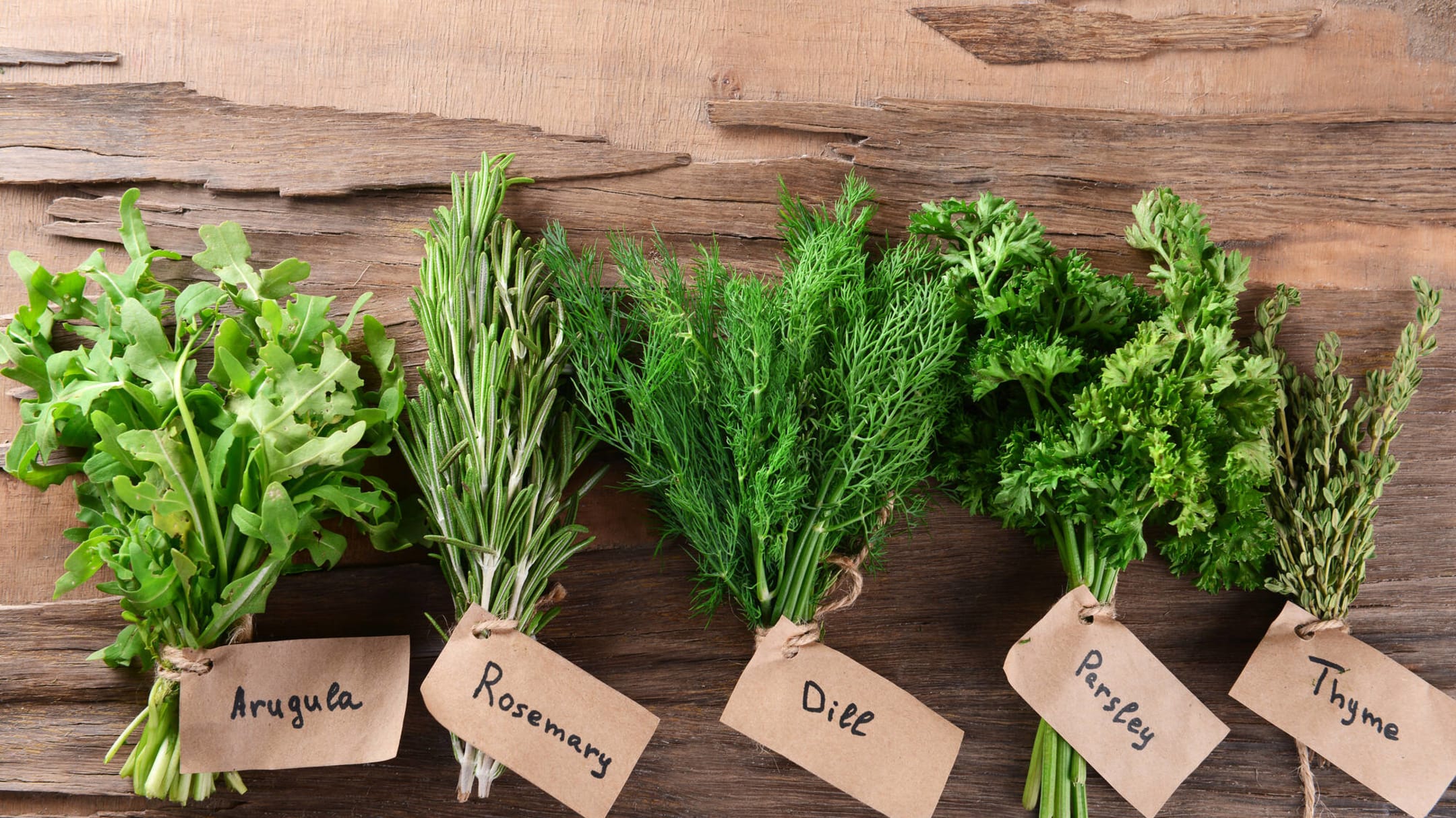 Herbs in Witchcraft - Parsley - Awesome on 20