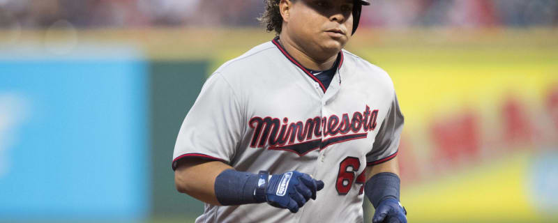 Willians Astudillo - MLB News, Rumors, & Updates