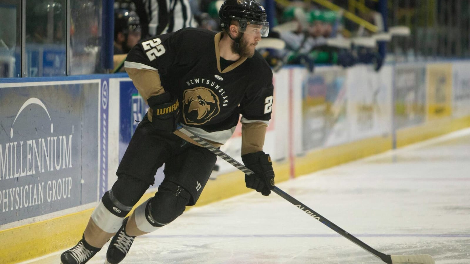 ECHL’s Newfoundland Growlers cease operations